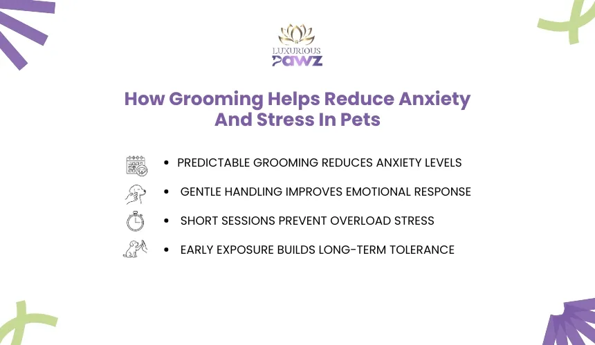 Pet anxiety grooming slide with stress reduction tips clean pet care